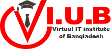 V.I.U.B (Virtual IT Training Institute of Bangladesh): Where IT Experts are Created